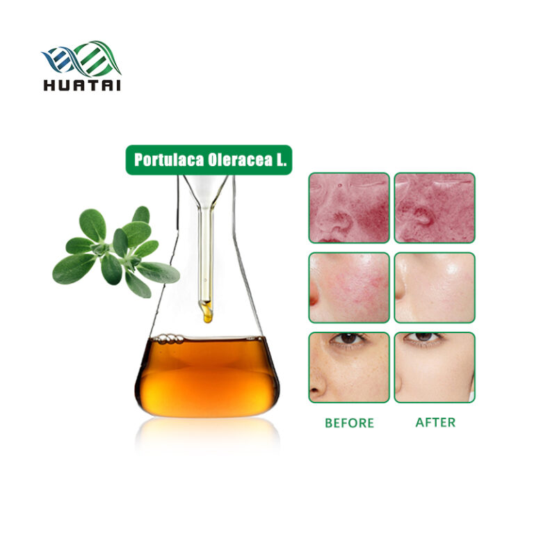 Portulaca Oleracea Extract