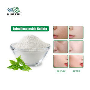 Epigallocatechin Gallate