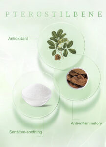 Pterostilbene extract